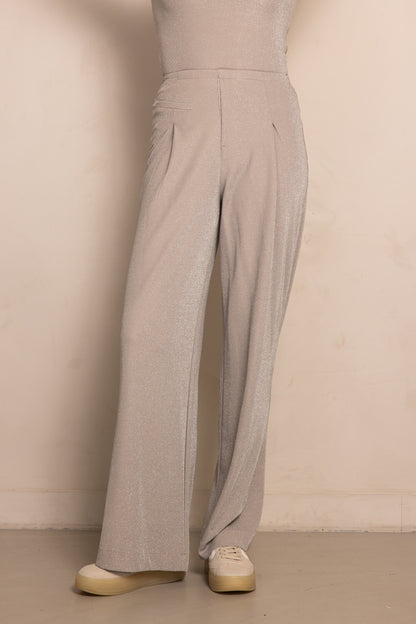 Zhrill Pala - Taupe Damenhose mit Glitzereffekt, weites Bein und Bundfaltenansicht von vorne
